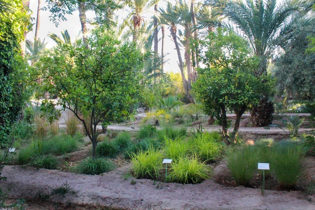 Jnane Tamsna Hotel Marrakesh Exterior photo