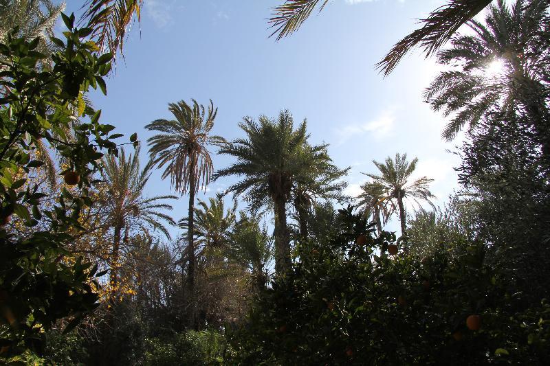 Jnane Tamsna Hotel Marrakesh Exterior photo