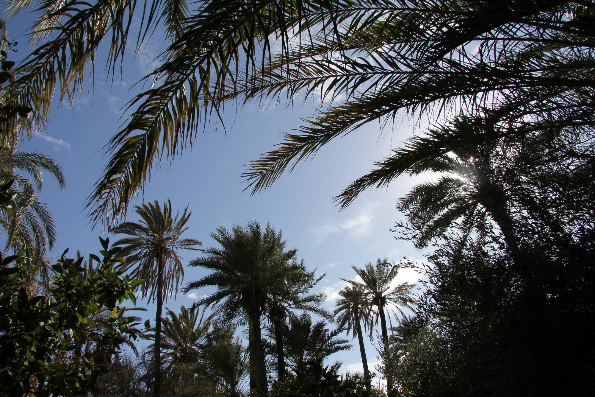 Jnane Tamsna Hotel Marrakesh Exterior photo