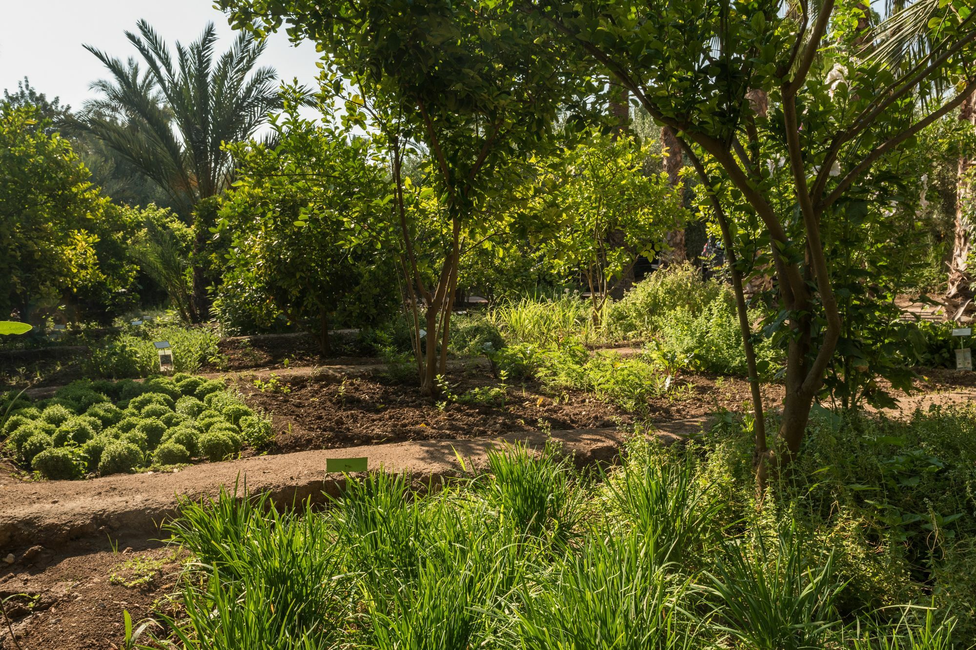 Jnane Tamsna Hotel Marrakesh Exterior photo