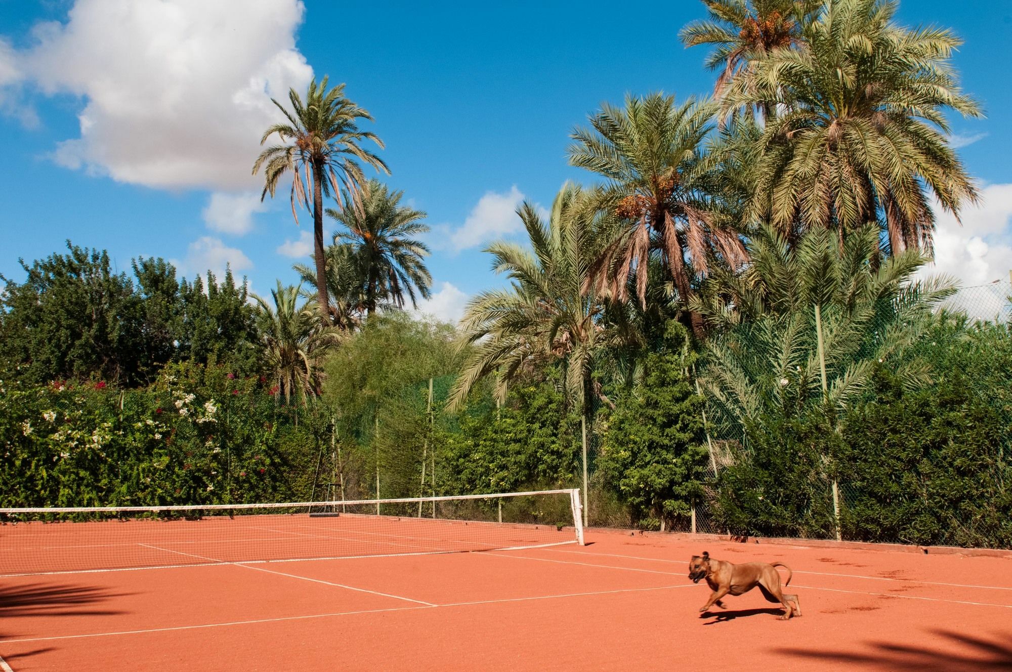 Jnane Tamsna Hotel Marrakesh Exterior photo